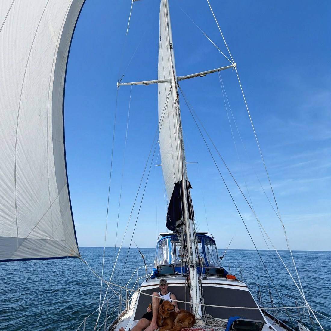 Sunny stretched out on the foredeck while underway