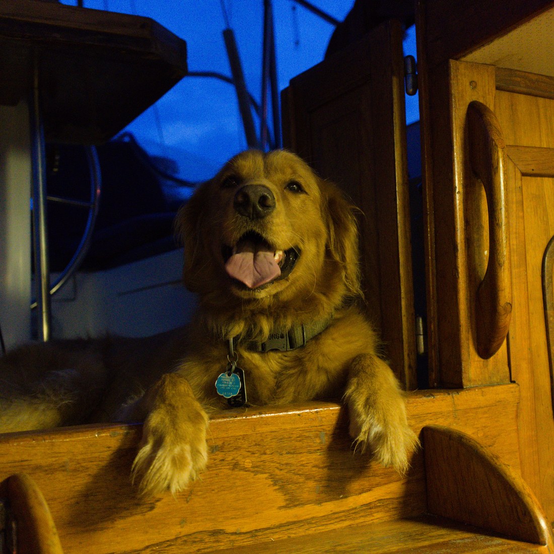 Sunny relaxing inside the cabin
