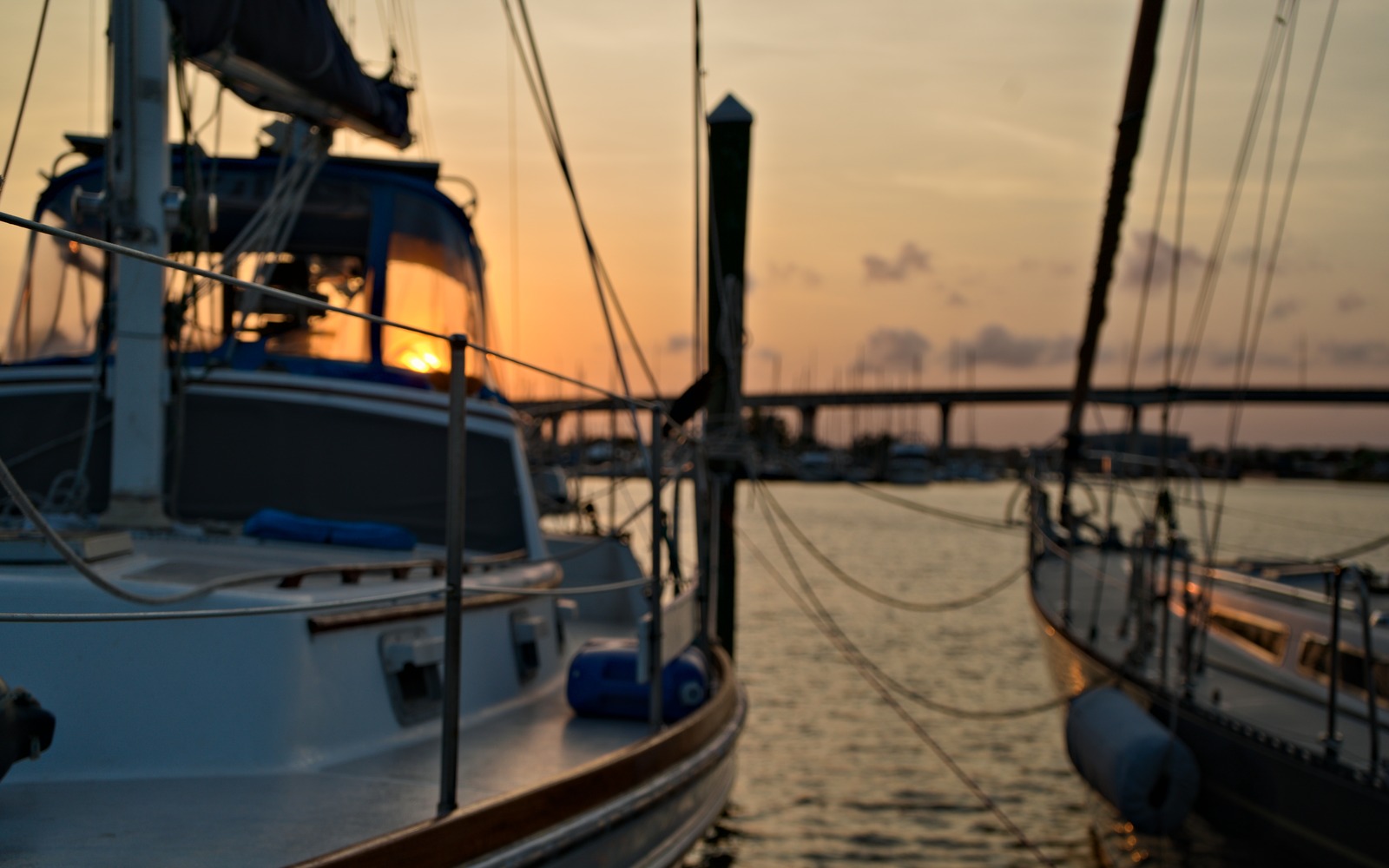 Koyukon at the marina at sunset with the bridge behind her